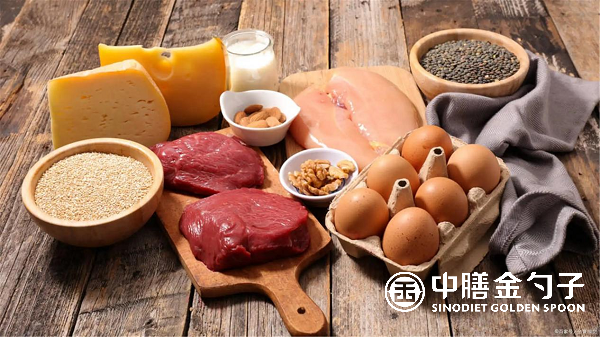 學(xué)校食堂承包：打造健康營養(yǎng)的飲食環(huán)境.png